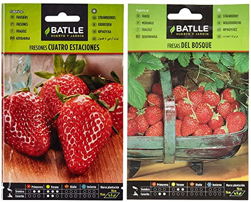 Semillas Batlle - Fresones 4 estaciones, Color Rojo + Fresas de Bosque