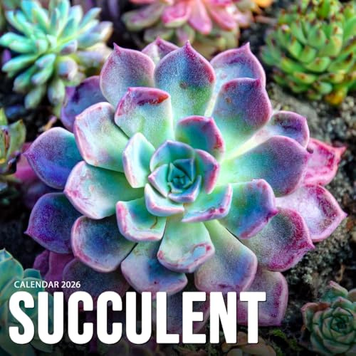 Succulents 2026 Calendar: Beautiful Plants and Desert Charm