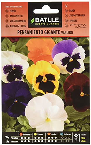 Semillas Batlle 095905BOLS