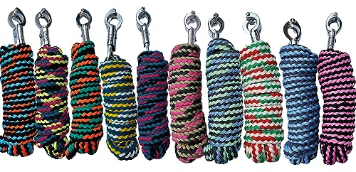 Brama-West Pferde Führstricke Überraschungsbox 10 Stück - für Pferde, Ponys, Shetty - Anbindestrick mit Panikhaken - Länge 2m - Bunte Farbmischung