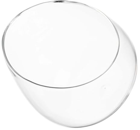 Abaodam Bol en Verre Biseauté de 15 CM pour Plantes Succulentes, Bocal à Plantes D’Intérieur Transparent, Pot Terrarium Hydroponique Compact, Vase Décoratif pour Bureau et Micro-Paysage