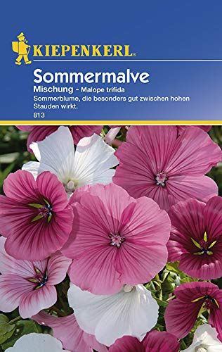 Kiepenkerl Sommermalvensamen Mischung 813 - Besonders gut zwischen hohen Stauden - Wuchshöhe 80-100 cm - Inhalt für 50 Pflanzen - Blumensamen, Saatgut