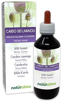 Cardère sauvage ou Cabaret des oiseaux (Dipsacus fullonum ou D. sylvestris) racines Teinture Mère sans alcool Naturalma - Extrait liquide gouttes 200 ml - Complément alimentaire - Végétalien ou végan