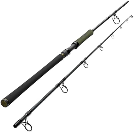 Sportex Catfire CS-2 Spin 2,40m 70-190g Welsrute