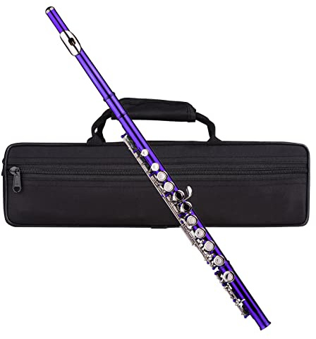 C Flute Mini Flute Closed Hole 16 Keys with Carry Case Gloves Cleaning Cloth Cleaning Rod for Performance Daily Practice (Purple)