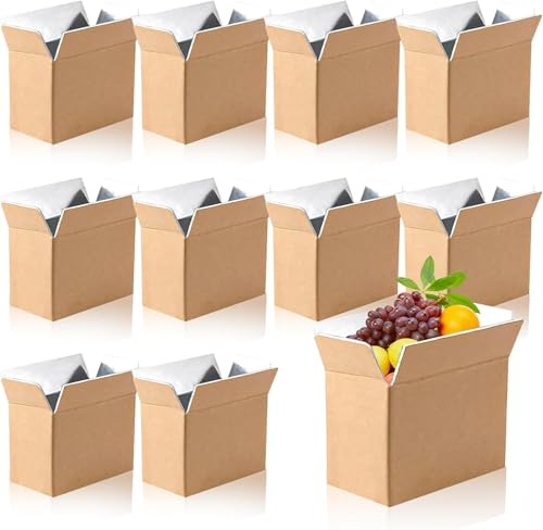 10 Pack Double Insulated Shipping Boxes, Foil Foam Lined Cooler Cartons | Cold Shipping Boxes; Pack Suitable Food with Cool Packs for Delivery, Storage and Mailing, 21 x 10.5 x 13 cm