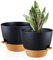 FORAGIFT 25cm Self-Watering Plant Pots Indoor, 2 Pack Large Plastic Plant Pots with Deep Reservior and High Drainage Holes for Indoor Outdoor Plants and Flowers, Black with Terracotta