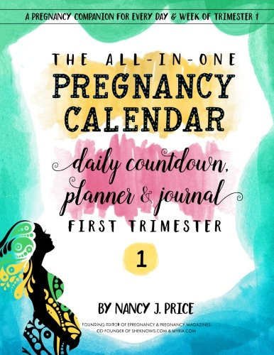 The All-In-One Pregnancy Calendar, Daily Countdown, Planner and Journal: First Trimester: Volume 1