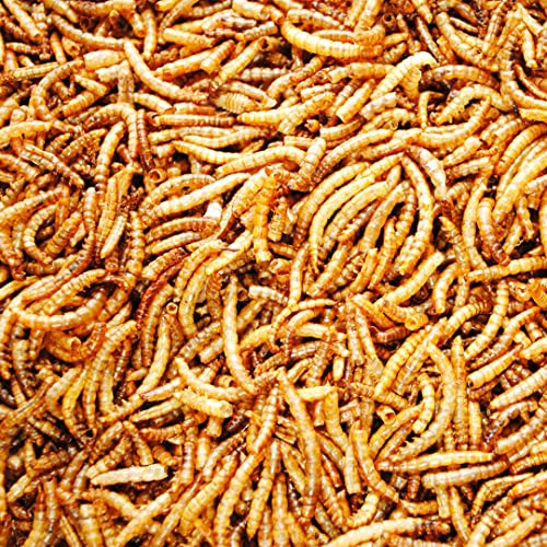 UK GROW 10L Premium value Dried Mealworms 10 litres (10L)