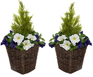 GreenBrokers 2 x Artificial Dark Purple & White Faux Silk Petunias with Conifer Topiary Ideal for Home, Patio, Garden Outdoor Living 60cm/23.5in