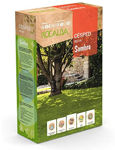 Rocalba - Césped sombra