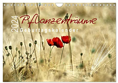 Pflanzenträume / Geburtstagskalender (Wandkalender 2024 DIN A4 quer), CALVENDO Monatskalender: Termin- und Geburtstagsplaner mit einer Reise durch die Pflanzenwelt (CALVENDO Natur)