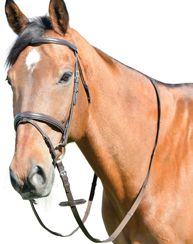 Kincade Classic Plain Raised Flash Bridle with Reins, Brown, Full