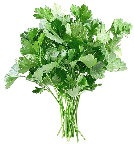 BIO Saatgut Petersilie 250 x Samen Prademir samenfest |hohe Keimrate