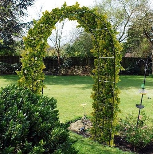 OnlineDiscountStore 2.4M STEEL GARDEN ROSE ARCH FOR CLIMBING PLANTS TRELLIS