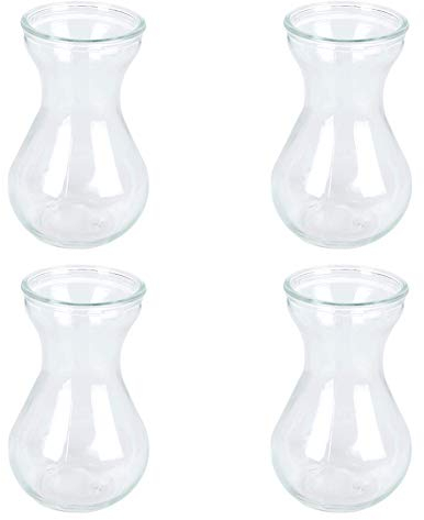Toruiwa - Jarrón de Cristal de Jacinto, hidrocultura, jarrón de Flores, jarrones para Plantas suculentas, decoración de Plantas 14,5 x 6,5 x 7,5 cm, Transparente