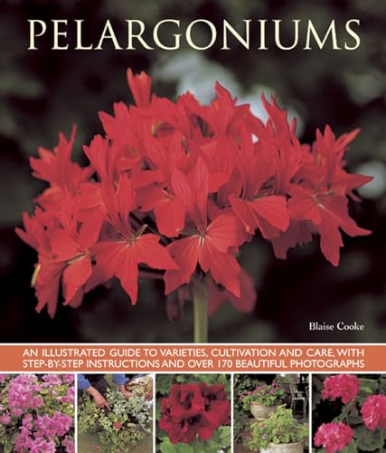Pelargoniums: An Illustrated Guide to Varieties, Cultivation and Care, With Step-by-Step Instructions and Over 170 Beautiful Photographs