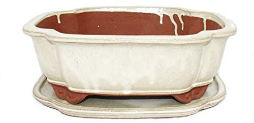 Exotenherz - Bonsai-Schale mit Unterteller Gr. 5 - haitang I4 - hellbeige - L 31,5cm - B 26cm - H 11cm