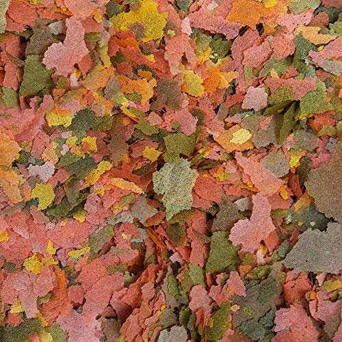 GardenersDream Premium Tropische Fischflocken 49% Protein Aquarium Fischfutter