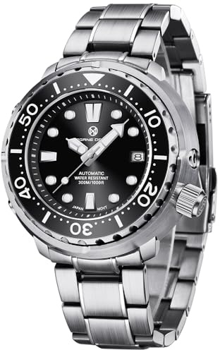 PAGRNE DESIGN Herrenuhren Automatische Armbanduhr Kratzfestes Synthetisches Saphirglas mit Datumsanzeige Armband aus Edelstah(Stahlband schwarz)