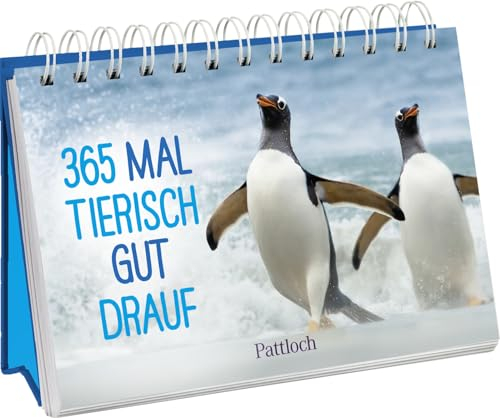 365 mal tierisch gut drauf!: Immerwährender Kalender zum Aufstellen | Lustige Tierfotografien und Zitate, die gute Laune machen (Immerwährende Kalender für jeden Tag)