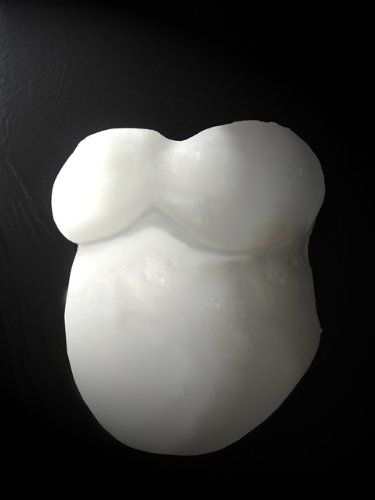 Baby Bauch Gips Abdruck Set LIGHT - Babybauch Gipsbauch Gipsbinden Gipsabdruck Schwangerschaft Schwangerschaftsbauch Bauchmaske Bauchabdruck