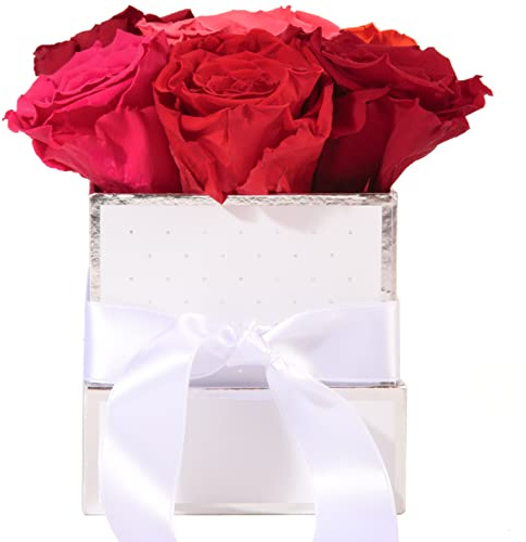 Rosemarie Schulz Heidelberg rosenlåda vit personlig 6 Infinity rosor färgglada – 15 x 12 cm hållbar upp till 3 år – riktiga rosor färgglada bukett skickar personliga hälsningar (Perso kantig vit,