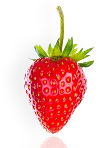 FRAGOLA DULCINEA – 4 STAGIONI – mazzi da 10 radici