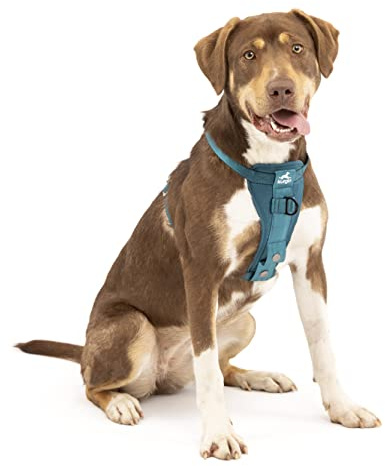 Kurgo Tru-Fit Harnais de sécurité pour Voiture pour Chiens, avec Plastron rembourré et Anneau en D, avec Ceinture de sécurité pour Voiture, Taille M, Bleu Encre