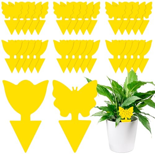 AiQInu 30 Pièges Anti Moucherons Interieur, Attrape Mouche Interieur Jaunes, Anti Pucerons Plantes Exterieur Attrape Mouche Collant pour la Lutte Contre les Parasites des Plantes D'intérieur
