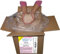 SIVASH-Badesalz - naturbelassenes Meersalz, 20kg Karton (40 Bäder), mild, unraffiniert, aus rosa sole. Rosa Sole-Farbe dank Beta-Carotin aus Mikroalgen Dunaliella Salina. Schönes Badevergnügen auch bei Neurodermitis, Psoriasis, Rheuma