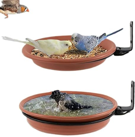 Mangeoire Pour Oiseaux À Accrocher Dans Les Arbres Nourriture, Bain, Bols,