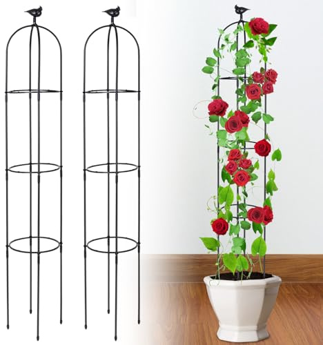 2PCS Obelisco de Jardín, TOROKOM 183 cm Soporte Metálico Antioxidante para Plantas Trepadoras, Torre de Obelisco Resistente para Flores, Rosas, Enredaderas, Uso Interior y Exterior(Negro)