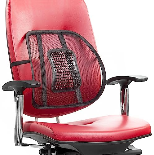 InnovaGoods Respaldo Lumbar Portátil Transpirable Backonfy,