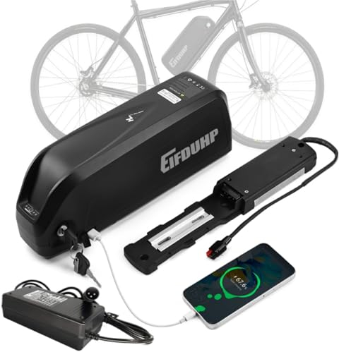 Ebike Batterie 48V 20AH, Hailong Ebike Akku mit USB-Port, Ladegerät, 5-Pin Grundplatte & A Grade-Zelle für 1500W-50W Elektrofahrrad Pedelec, Lithium-Ionen-Batterie
