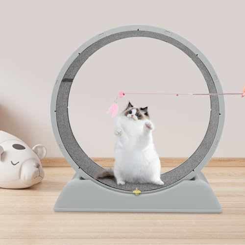 Ruota per gatti da 80 cm, grande ruota per gatti da appartamento, silenziosa, con una portata di 10 kg, 79 x 34 x 84 cm