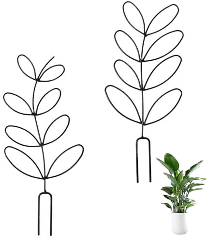 Pack de 2 Treillis Mini en Métal pour Plantes Intérieures, Tuteur pour Plantes Grimpantes, Convient aux Plantes d'intérieur et Extérieures, Design Élégant (Noir)