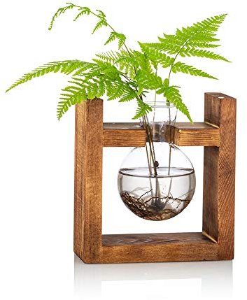 Stazione Di Propagazione 1 Pz Lampadina Vaso Di Avocado Vaso Di Ghianda Di Vetro Per Fiori Terrario Vaso Di Fioriera Con Portapacchi In Legno Supporto Per Piante Da Acqua Verde Adatto Per La Casa Cuci