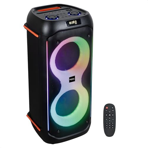 Ibiza - COLUMBA600 - Altavoz, Potente bafle 2x6,5/16cm en batería Recargable - Bluetooth, Micro-SD, USB, Aux, 2 Mic IN - TWS - LED Multicolor Infinito - Asa