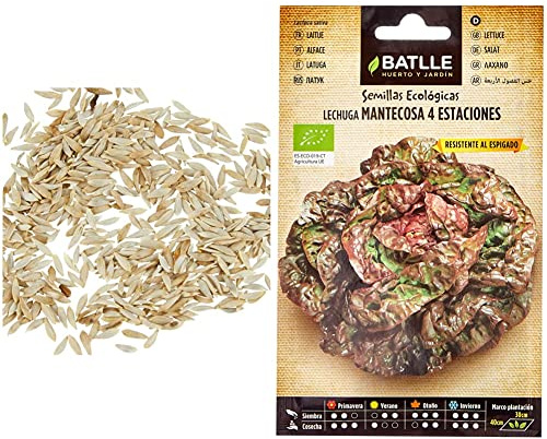 Lechuga Marv. Verano - ECO & Lechuga Cuatro estaciones - ECO