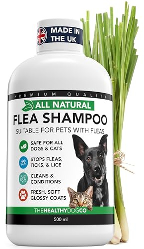The Healthy Dog and Cat Co. – All Natural Flea Shampoo for Dogs & Cats – Gentle Wash with Quassia & Lemongrass – Safe, Vegan Formula for Itchy Skin – Dog & Cat Shampoo – Made in UK