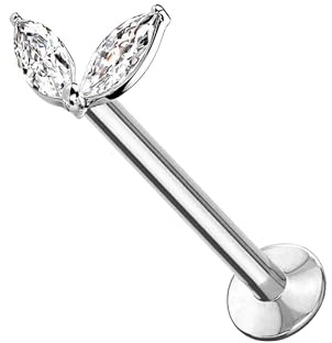 AWAKEN Piercing Labret Acciaio Chirurgico Filettato Internamente Stud Orecchini Borchie Cartilagine Helix Tragus Conch Medusa Daith Piercing a Bottone