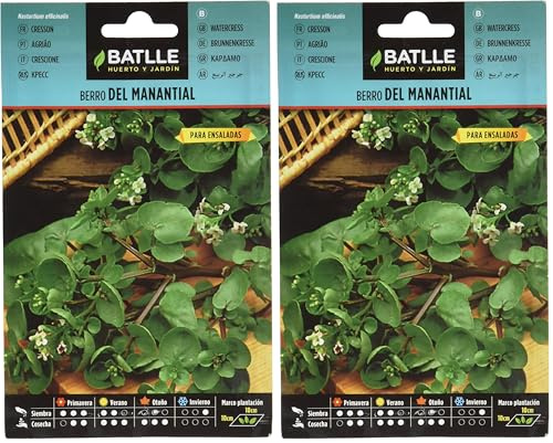 Graines aromatiques de Batlle - Cresson de Printemps (1g) (Lot de 2)
