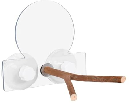 Vogel-Sitzstangen Fenster Saugnapf Naturholz Stehende Äste Ungiftig Papagei Stabile Scheuerstation Zubehör Vogelsitzstangen Naturholzständer Für Papageien Nägel Sittiche Nymphensittiche Spielzeug