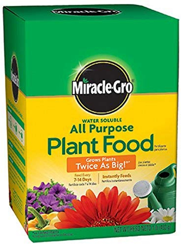 Miracle-GRO Pound 160101 Water-Soluble All Purpose Plant Food, 24-8-16, 1-Po