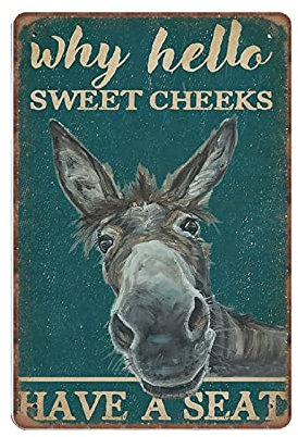 DAIERCY Retro Teal Why Hello Sweet Cheeks Donkey Tin Signs, Love Donkey Sign for Home, Funny Vintage Metal Sign Plaqu Poster Wall Art Kitchen Garden Bathroom Decor, 140x200 mm