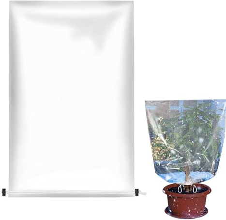Generico Cubierta transparente para plantas – Protección invernal | 60 × 80 cm Frost y lluvia | Película PE impermeable para jardín y balcón | Mantiene cultivos protegidos de la lluvia y la intemperie
