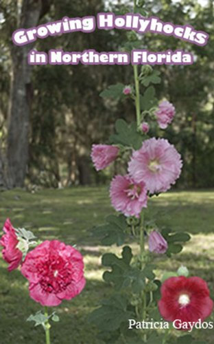 How to Grow Hollyhocks in Northern Florida