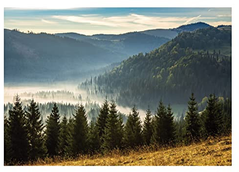 Fototapete Berge Panorama Wald im Nebel Bäume Landschaft - inkl. Kleister - für Wohnzimmer Schlafzimmer Flur Vlies Tapete Vliestapete Wandtapete Motivtapeten Montagefertig (416x254 cm)