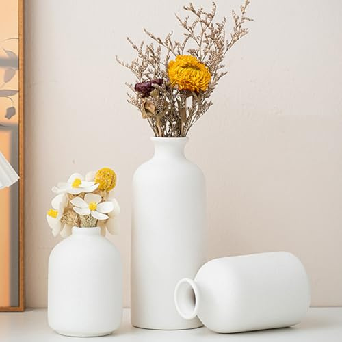 Lxoraziy Set di 3 Vasi di Fiori in Ceramica, Unici Bianco Vasi di Fiori per Centrotavola, Minimalista, Decorazione per Soggiorno, Matrimonio, Tavolo, Feste, Ufficio e Camera da Letto